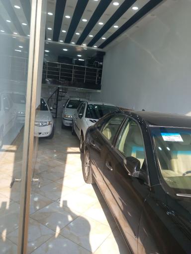 عکس اتو شاهان رسولی 