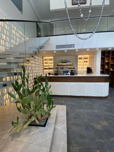 عکس کافه رستوران لیبرا