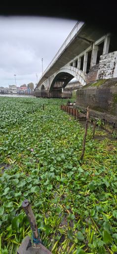 عکس اسکله گردشگری دریایی دریادلان