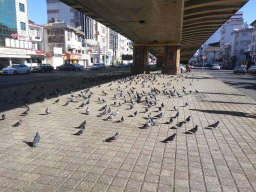 عکس پل باستانی شعار (صابرین)