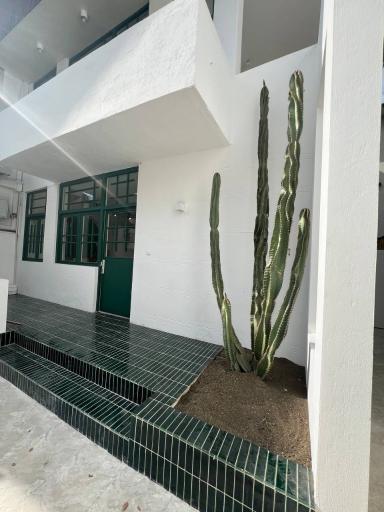 عکس گالری هنری خانه سبز