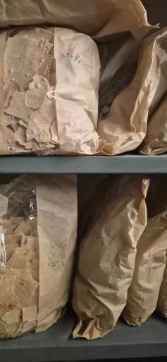 عکس عطاری گل نرگس