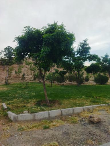 عکس بوستان ضحی