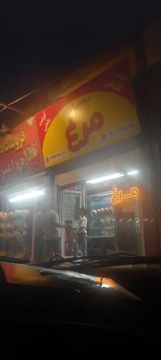 عکس پروتئینی  امیر کبیر