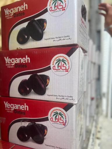 عکس پخش خرما آجیل و خشکبار سعید