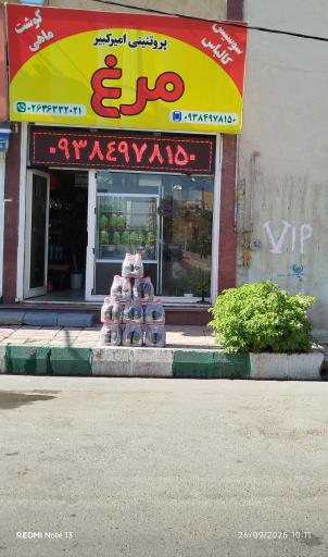 عکس پروتئینی  امیر کبیر