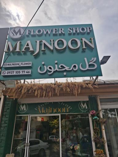عکس گل مجنون