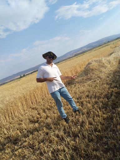 عکس دوزدوزان