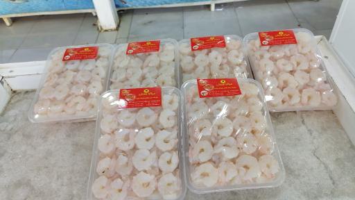 عکس ماهی و میگو هستی 