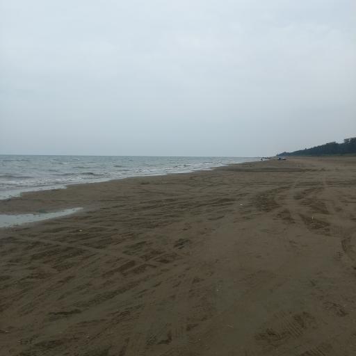 عکس ساحل میانکاله 