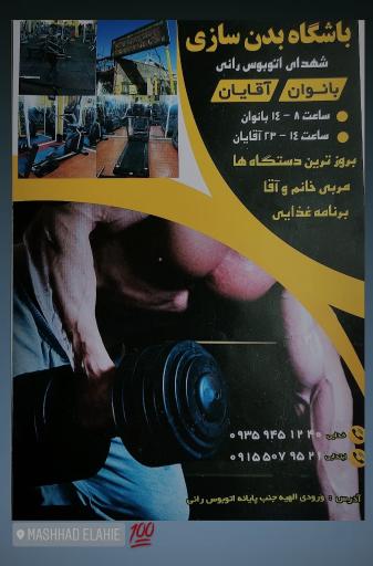 عکس سالن ورزشی شهدای اتوبوسرانی