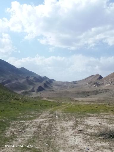 عکس انداد