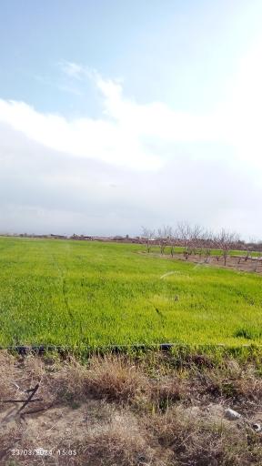 عکس انداد