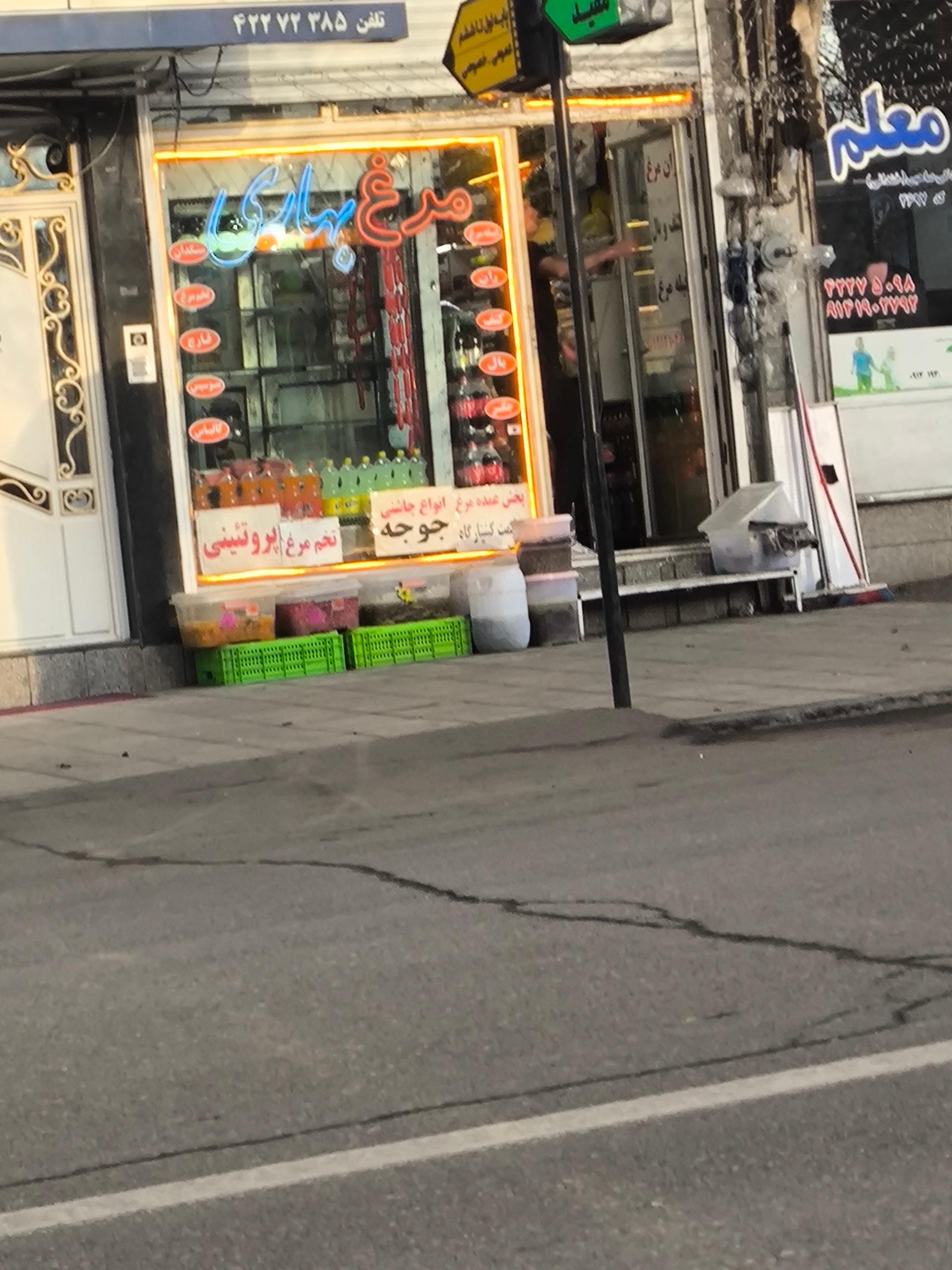 عکس مرغ فروشی بهاری