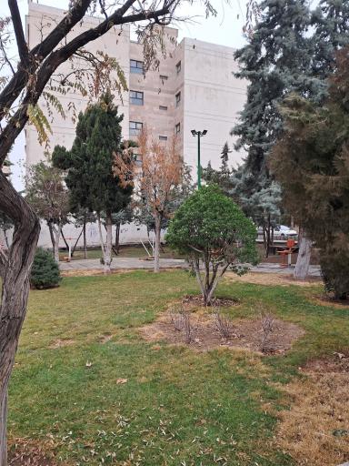 عکس بوستان آبنوس