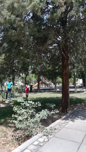 عکس بوستان آبنوس