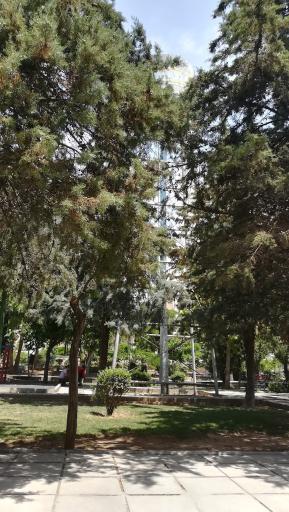 عکس بوستان آبنوس