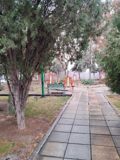 عکس بوستان آبنوس