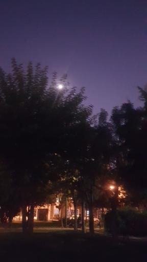 عکس بوستان آبنوس