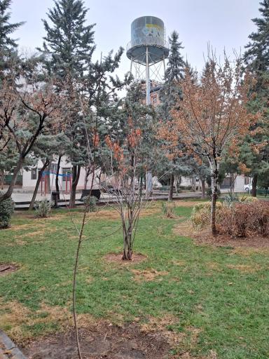 عکس بوستان آبنوس