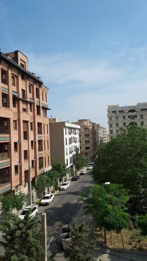 عکس بوستان آبنوس