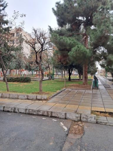 عکس بوستان آبنوس