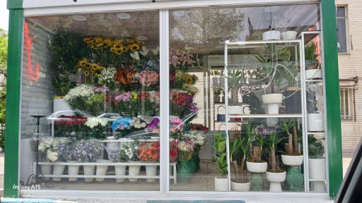 عکس گل فروشی