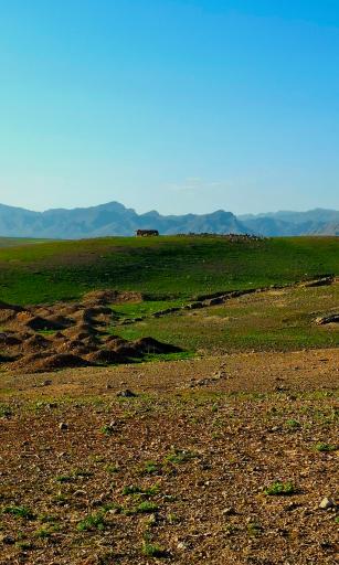 عکس انداد