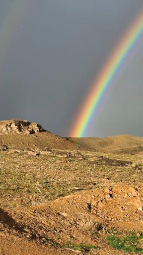 عکس انداد