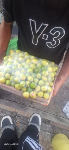 عکس آبگیری فیض الهی