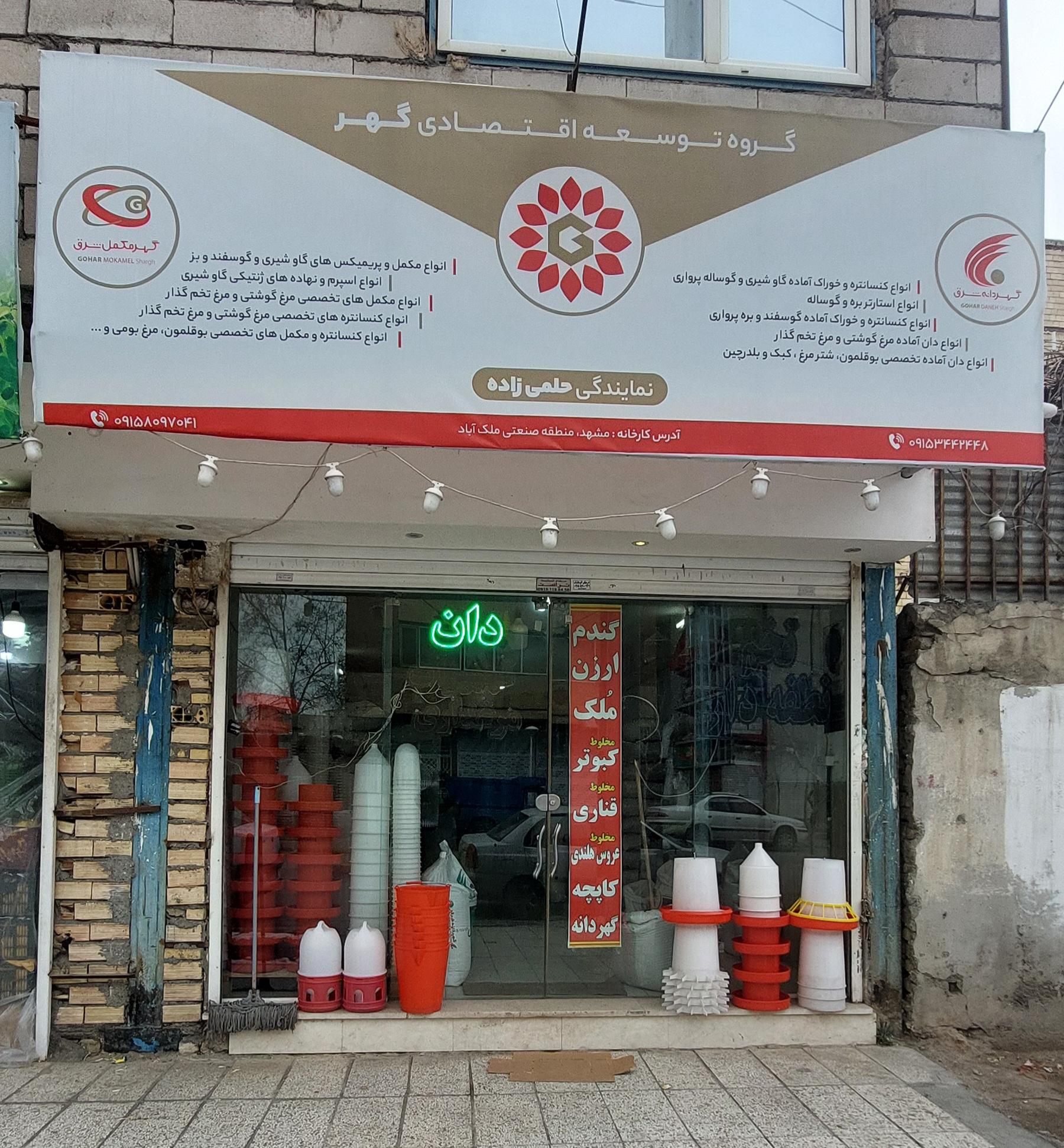 عکس نمایندگی گهردانه شرق