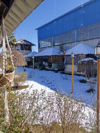 عکس کافه رستوران شباهنگ