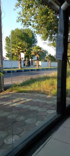 عکس گالری درخت زندگی