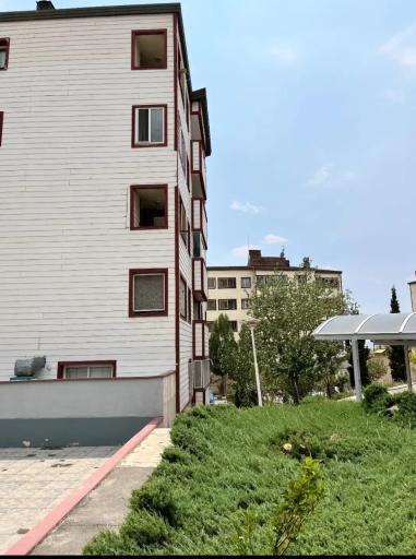 عکس مجتمع سنبل