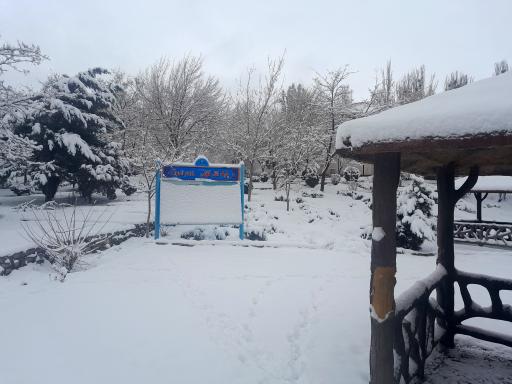 عکس استخر شاهگولی