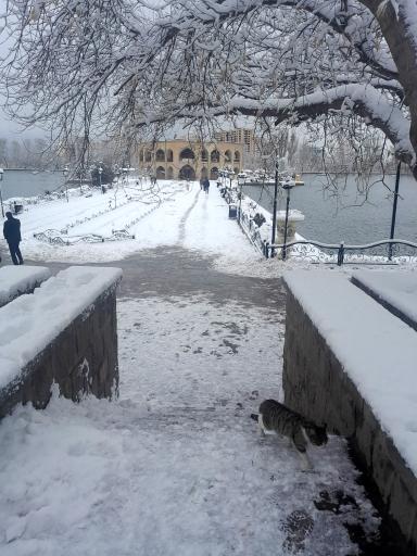 عکس استخر شاهگولی