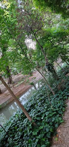 عکس مادی نیاصرم 