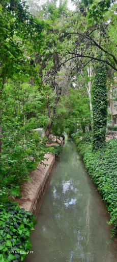 عکس مادی نیاصرم 