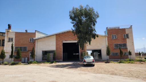 عکس سوله آمازون 