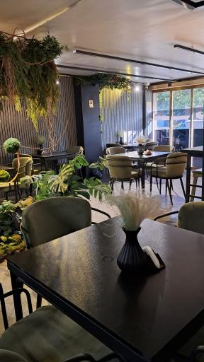 عکس کافه هالین