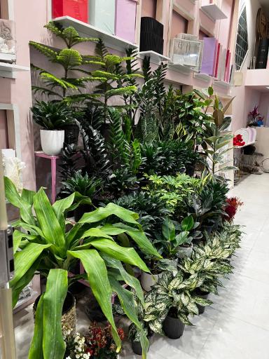 عکس گل فروشی گل نرگس