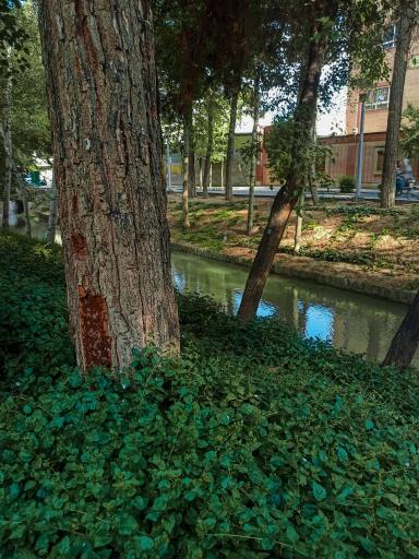 عکس مادی نیاصرم 