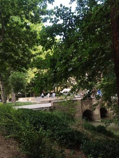 عکس مادی نیاصرم 