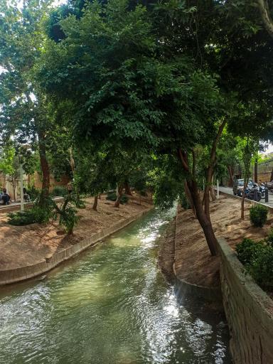 عکس مادی نیاصرم 