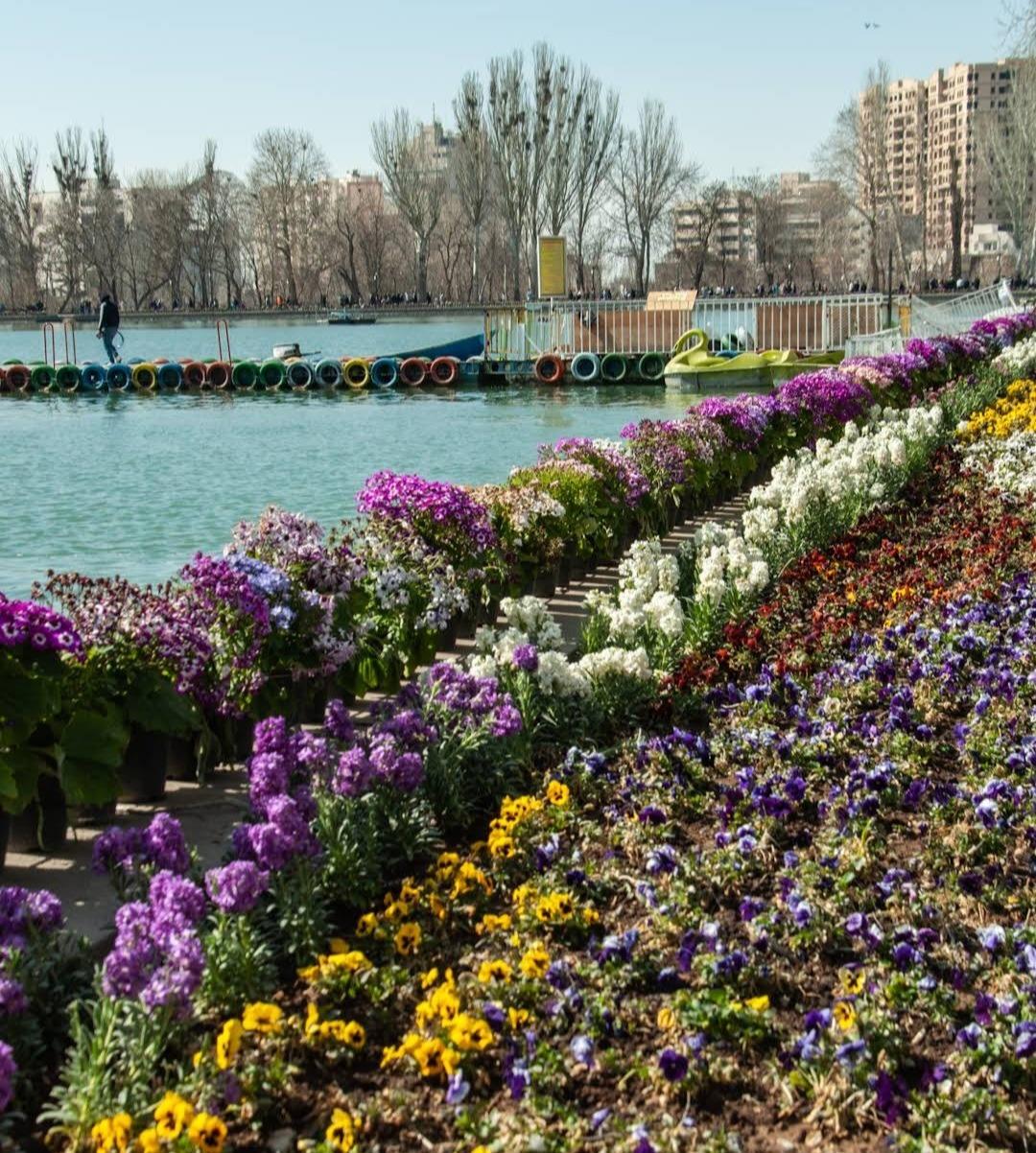 عکس استخر شاهگولی