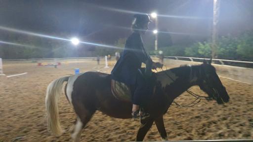 عکس باشگاه سوارکاری باراژ