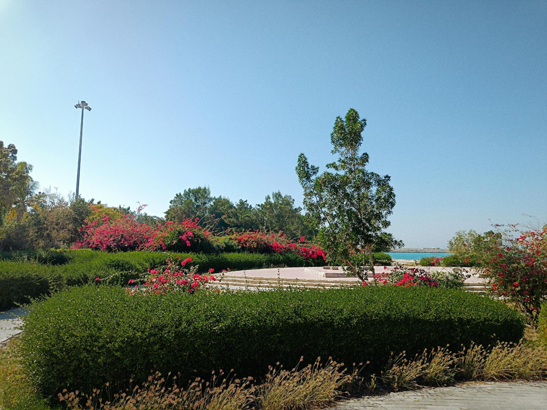 عکس پارک ساحلی میرمهنا