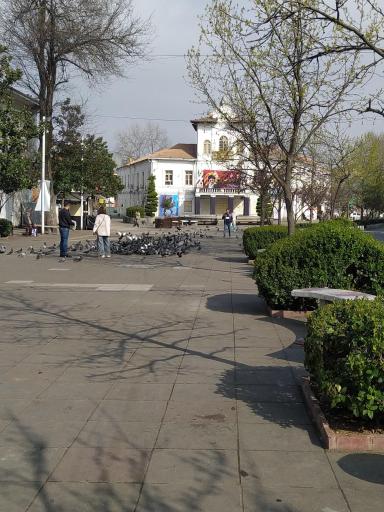 عکس میدان شهرداری رشت