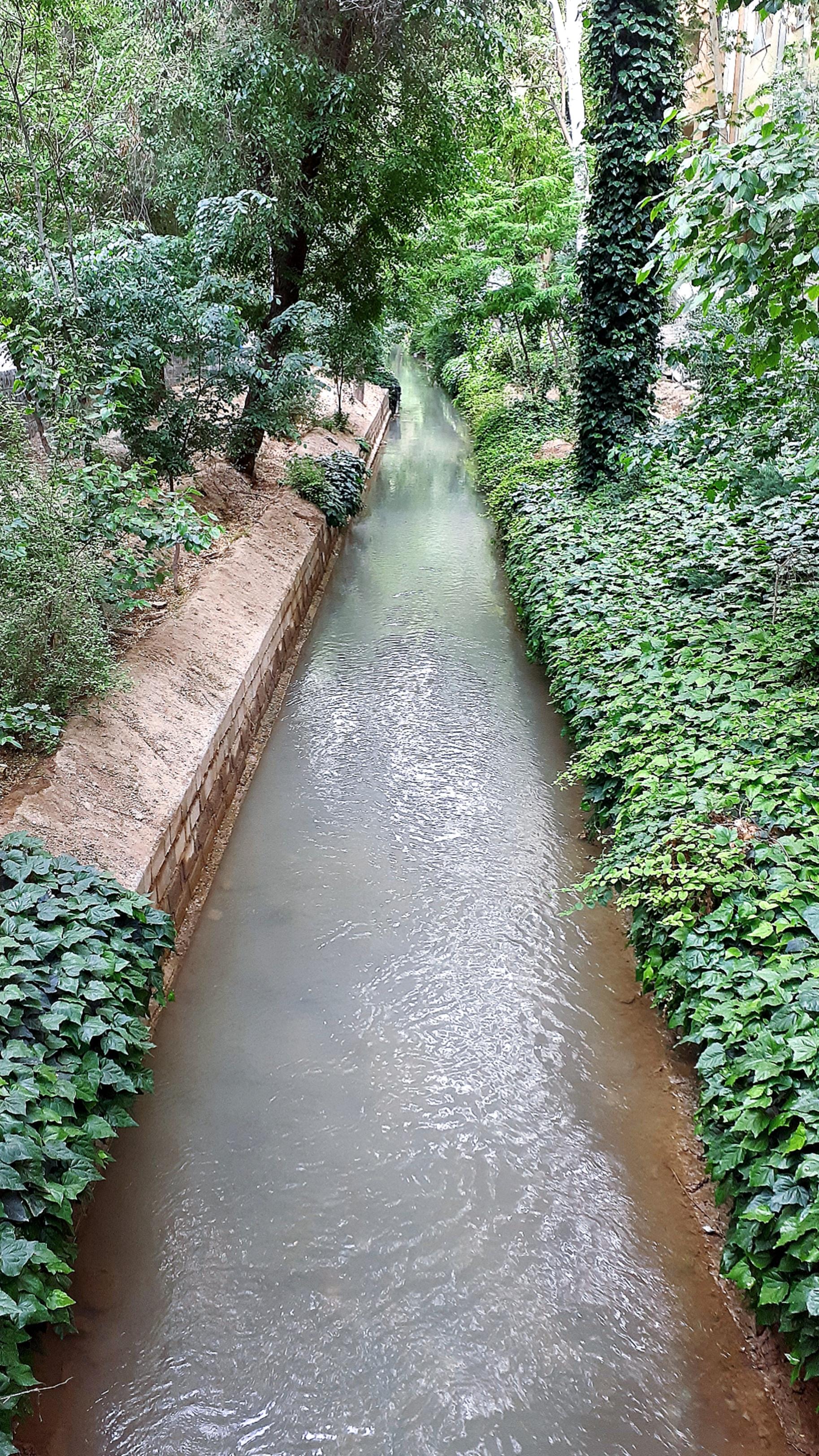 عکس مادی نیاصرم 