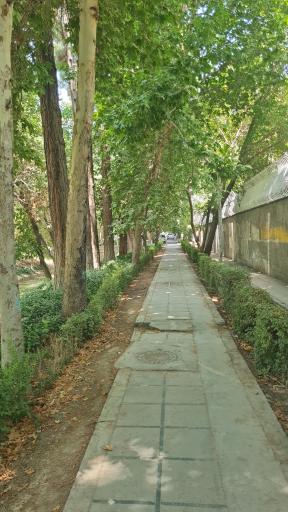 عکس مادی نیاصرم 